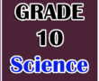 10 Science