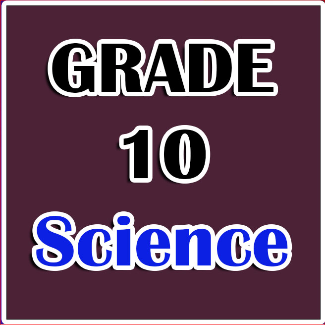 10 Science