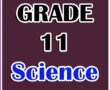 11 Science